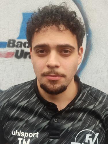 Tarik Mollahüseyinoglu