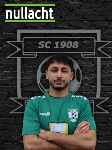 Taylan Sirin