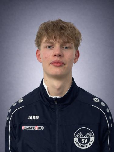 Ilja Vishek