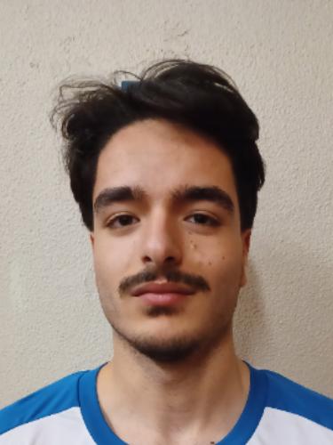 Hussam Abdalla Alhassoun