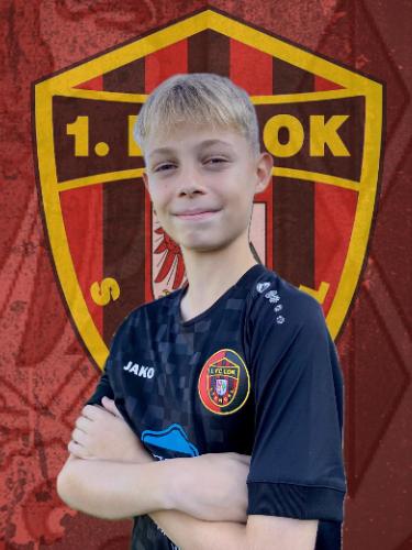 Lenny Bojarzin