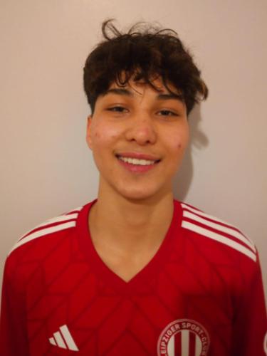 Hamed Safai