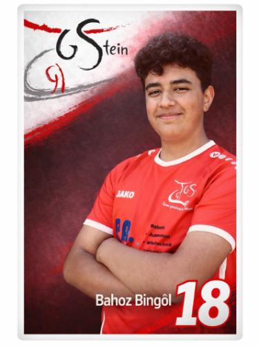 Bingöl Bahoz