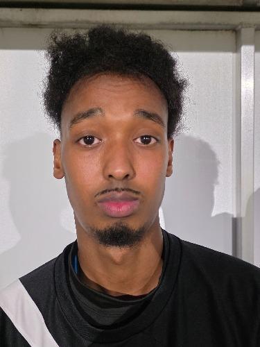 Mohamed Ahmed Ibrahim