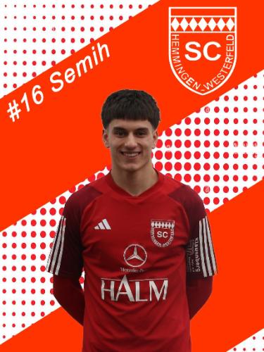 Semih Altiparmak