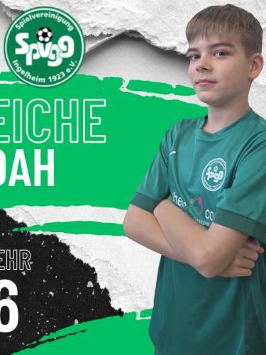 Noah Til Reiche
