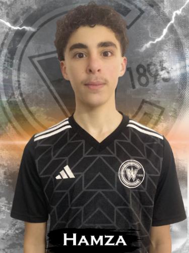 Hamza Rafee