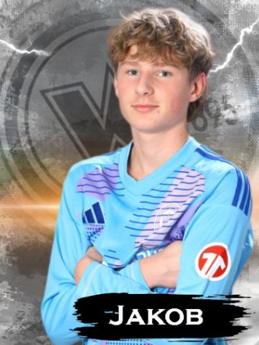 Jakob Niklas Halve