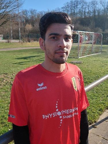 Ramin Adel