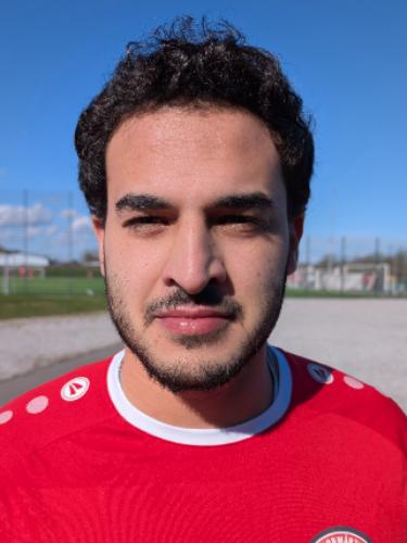 Hussein Mohamed Hussein Sayed Aly Toema