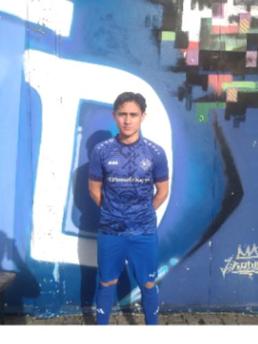 Seyed Mustafa Parvizi