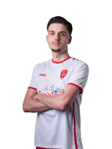 Elmedin Sovtic