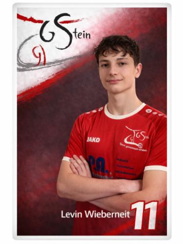 Levin Wieberneit