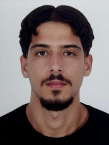 Ali Zülfekar Binici