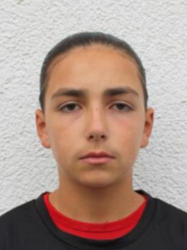 Ledion Lionel Tafolli