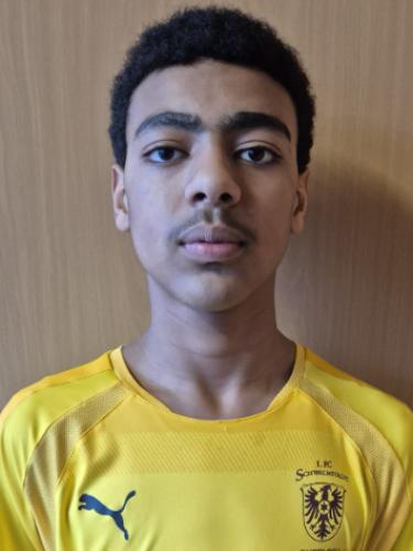 Alim Samuel Tesfagergis