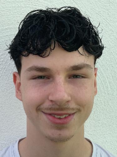 Fabio Leandro Wollersheim