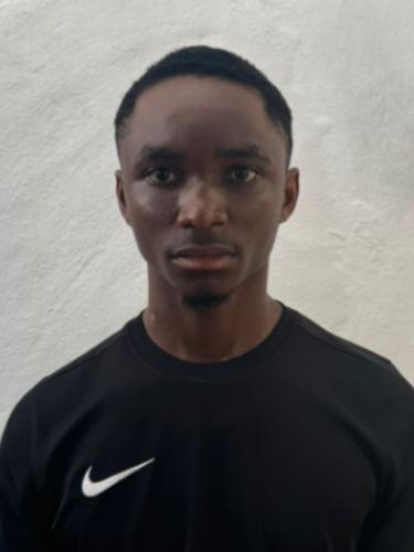 Kosisochukwu Michael Okoli
