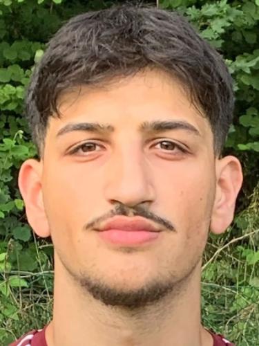Mohamad Aldibo