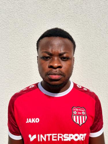 Wilfried Mokto Djoutsa