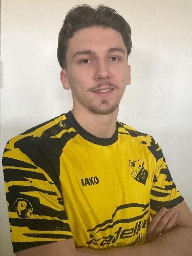 Dino Dedic