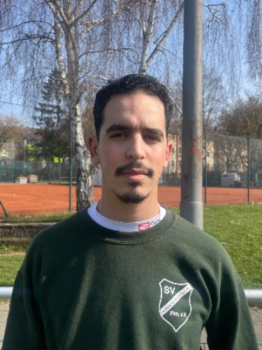 Tarik Saghir
