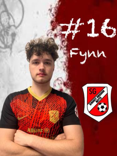 Fynn-Niklas Thies