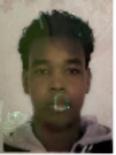 Abdi Hussein Ali