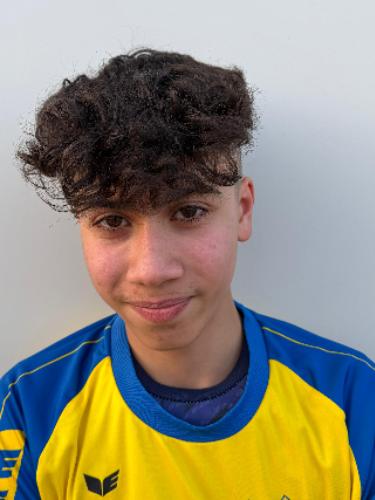 Mohammed Al-Delwa