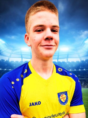 Simon Voll