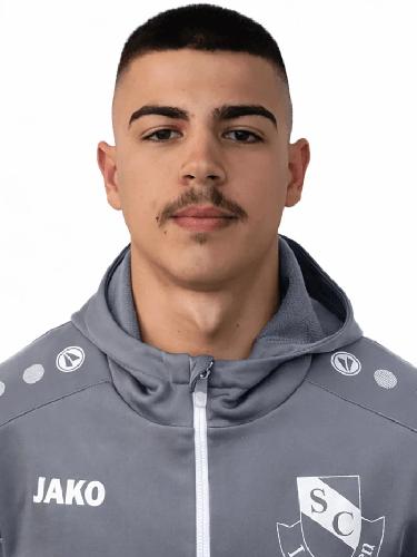 Leandro Almeida-Rodrigues