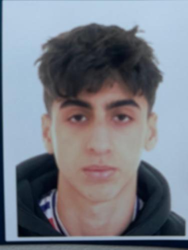 Mahdi Mohammadi