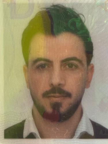 Mostafa Alsafar