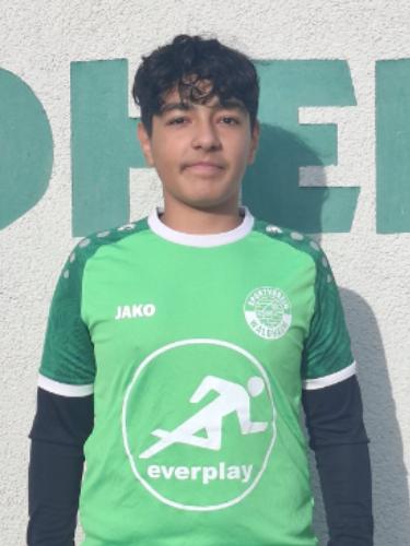 Ali Reza Afzalian