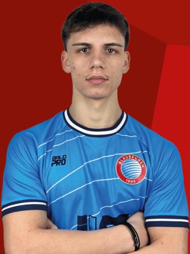 Mirko Dilber