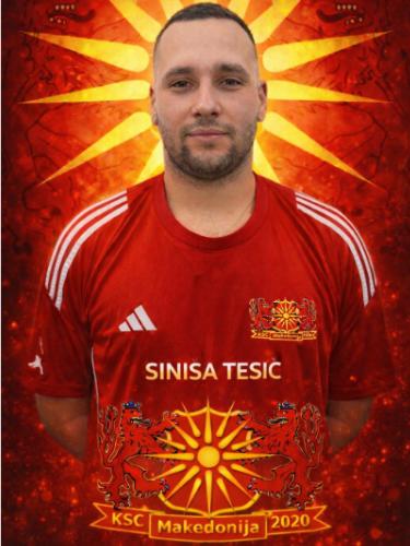 Sinisa Tesic