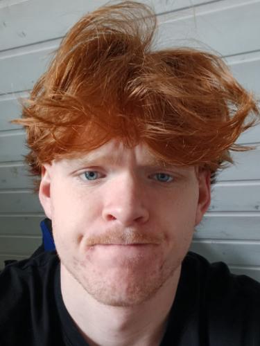 Matti Gaede