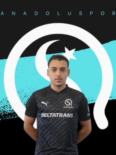 Tamer Celik
