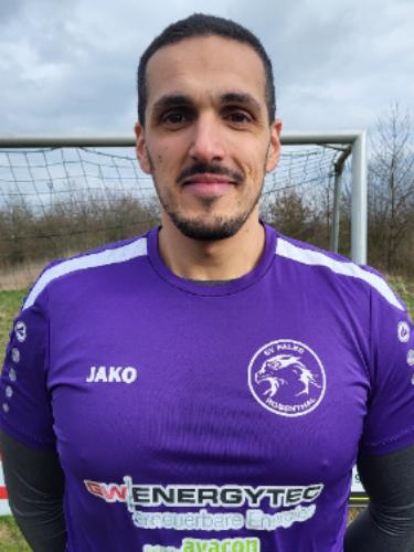 Hamza Mehdi