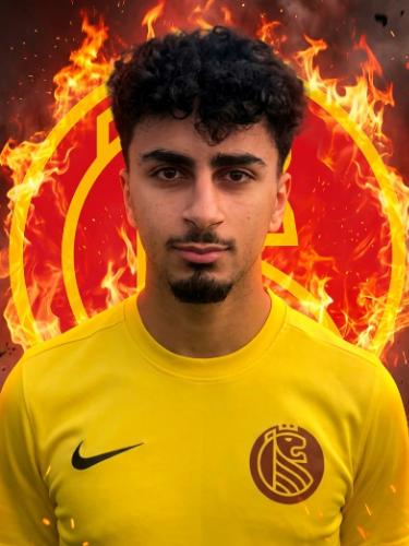 Hassan EL-Sayed Mohamad