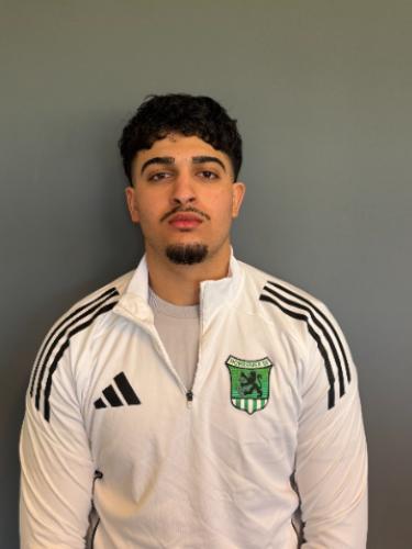 Mehdi Afshar