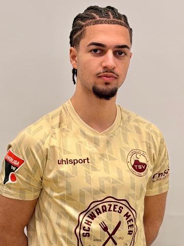 Kaan Ileri