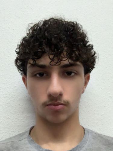Ayham Diab Agha