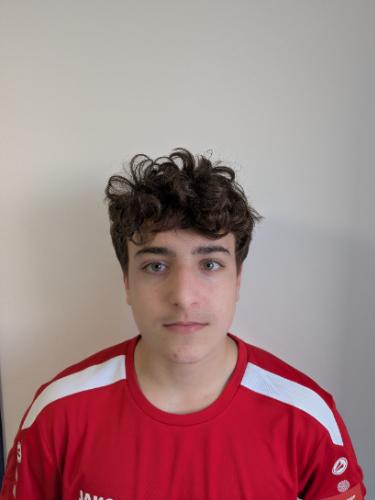 Fabio Carone