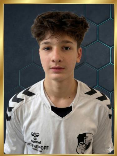 Florin-Stefan Beldie