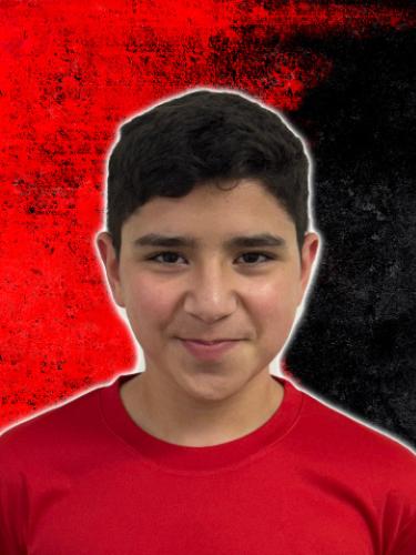 Ali Salman Hassan