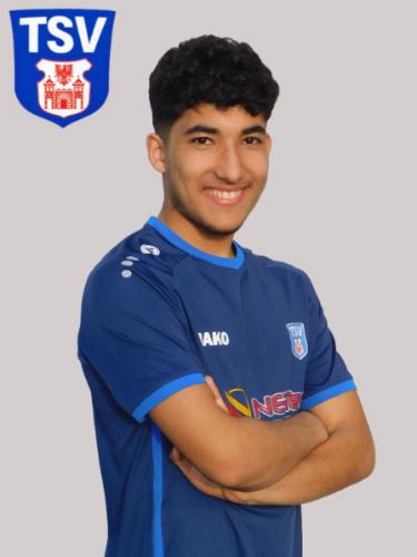 Salman Afshar