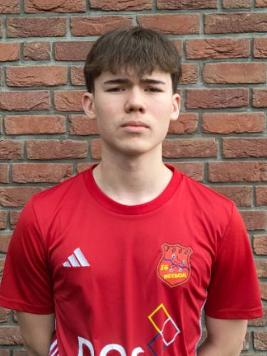 Henrik Jonas Hellwig