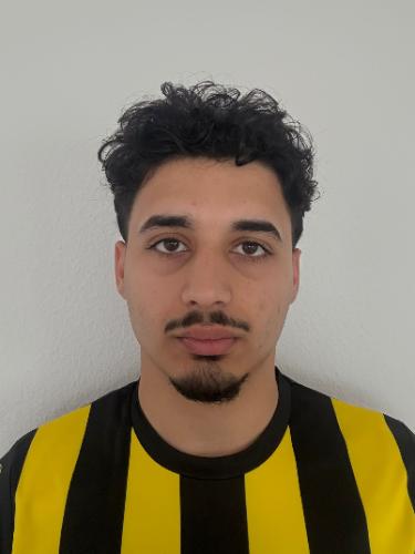 Mohammad Safwan Fallaha