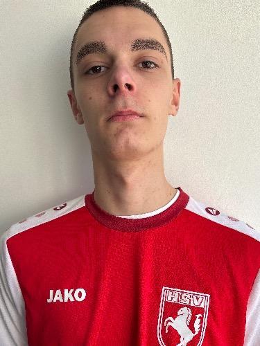 Nikola Radisic